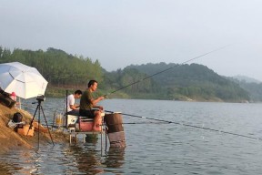 垂钓技巧之抛竿与扬竿？如何提高抛竿准确性？扬竿时机又该如何掌握？