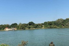 夏日钓鱼技巧大揭秘（河边垂钓利器）