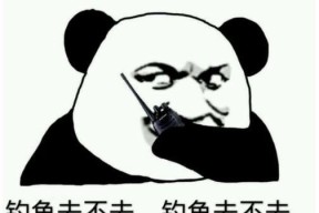 校园钓鱼小技巧有哪些？如何在校园水域成功钓到鱼？