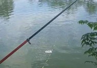 俄罗斯鱼塘钓鱼技巧有哪些？如何提高钓鱼成功率？