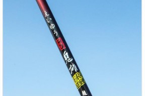 滑轮钓竿技巧教程（轻松掌握滑轮钓竿技巧）
