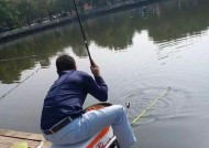 河流垂钓鲫鱼技巧教程？如何提高钓鲫鱼的成功率？