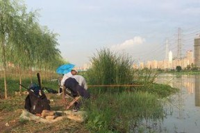 李二毛钓鱼技巧大揭秘（李二毛的鱼漂控制术）