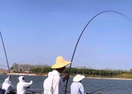 东荆河黄陵闸钓鱼技巧有哪些？如何提高钓鱼成功率？