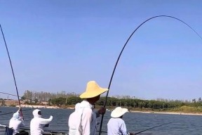 东荆河黄陵闸钓鱼技巧有哪些？如何提高钓鱼成功率？