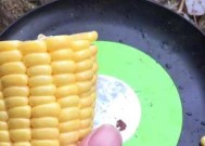 发酵玉米粒钓鱼技巧有哪些？如何正确使用发酵玉米粒钓鱼？