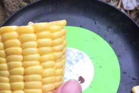 发酵玉米粒钓鱼技巧有哪些？如何正确使用发酵玉米粒钓鱼？