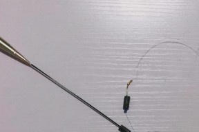不断线钓鱼技巧是什么？如何在各种天气条件下保持钓线不断？