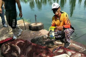 飞龙湖钓鱼技巧有哪些？如何提高钓鱼成功率？