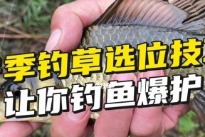 钓鱼小技巧大揭秘（实用简单，助你成为钓鱼高手）