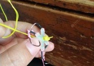 翻板钩不用浮漂钓鱼技巧有哪些？如何提高钓鱼成功率？