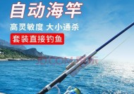 雨天海竿钓鱼技巧与方法（掌握雨天海竿钓鱼的窍门）