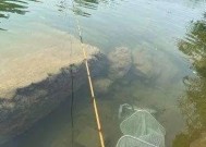 捕鱼小技巧野钓有哪些？如何提高野钓的捕鱼效率？