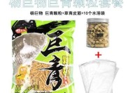 黑坑钓青鱼时如何搭配鱼饵？搭配技巧有哪些？
