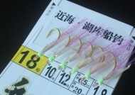 干虾皮挂钩钓鱼技巧有哪些？如何提高钓获率？