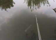 刚刚立秋过后下雨天钓鱼技巧是什么？如何提高钓鱼成功率？