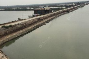 如何掌握钓海鱼的浮标技巧？常见问题有哪些解答？
