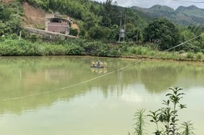 池塘水深钓鱼技巧有哪些？如何根据水深调整钓法？