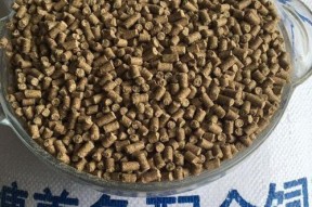 玉米黄豆钓鱼技巧（提高钓鱼成功率的实用技巧）