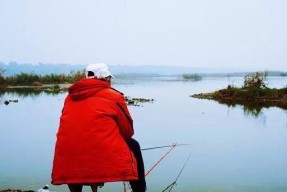 缓流回水湾钓鱼技巧（掌握这些技巧）