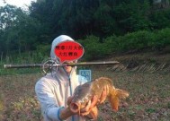 放生塘水库钓鱼技巧有哪些？如何提高钓鱼成功率？