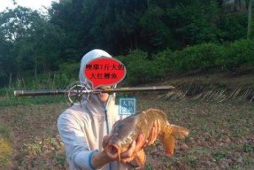 放生塘水库钓鱼技巧有哪些？如何提高钓鱼成功率？