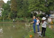 夏季池塘钓鱼的放向好技巧（夏季钓鱼攻略）