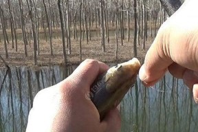 垂钓技巧实战教程？如何快速提升钓鱼技能？