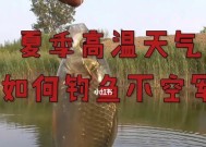 中午野钓鱼技巧（享受宁静午后）