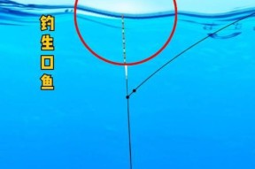 如何快速掌握钓鱼调漂小技巧？最简单的步骤是什么？
