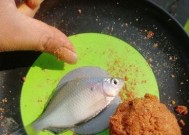 如何掌握钓鱼时拉饵的看漂技巧？常见问题有哪些？