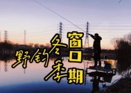 入冬钓鱼小技巧指南（冬季钓鱼技巧分享）
