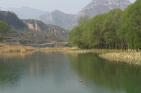河道涵洞钓鱼技巧教学（掌握关键技巧）