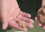 冬天黑坑钓鱼打窝技巧（冬季黑坑钓鱼）