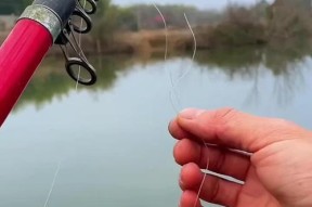 手竿钓鲢鳙抛竿技巧大揭秘（手竿钓鲢鳙抛竿的高效技巧与注意事项）