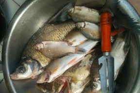 河边枯水坑钓鱼技巧（掌握技巧成功捕获丰富鱼群）