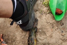 河流钓鱼做窝技巧有哪些？如何提高钓鱼成功率？
