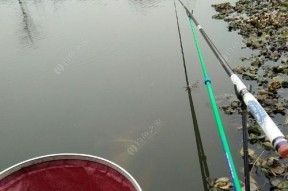 冬天钓鱼选位技巧（寒冷季节如何选择合适的钓鱼位置）