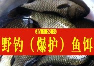 非洲鲫鱼钓鱼技巧儿童有哪些？如何教孩子正确钓鱼？