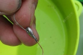 荷叶塘垂钓方法和技巧是什么？如何提高垂钓成功率？