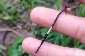 钓鱼新手如何选择合适的钓具？掌握哪些技巧能提高钓鱼效率？