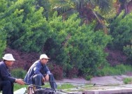仿真虾串钩能钓鱼技巧是什么？如何使用提高钓鱼成功率？