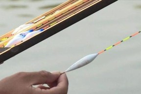 垂钓技巧线组搭配怎么选择？如何根据鱼种调整线组搭配？