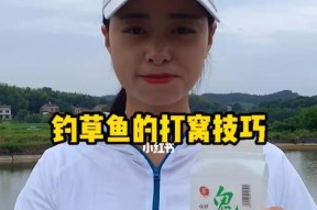 打工人钓鱼技巧教学？如何快速掌握钓鱼技能？