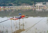 河里涨水时如何野钓鲤鱼？有哪些技巧可以提高成功率？