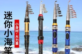 手竿钓鱼甩竿技巧（掌握鱼儿秘密快乐钓鱼无忧）