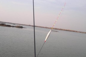 风浪钓鱼的技巧有哪些？如何应对风浪天气提高钓鱼成功率？