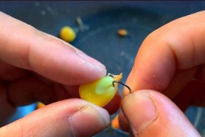 如何快速掌握钓鱼脱钩小技巧法？常见问题有哪些？