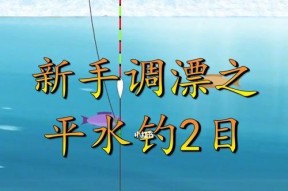 如何掌握钓鱼调漂技巧？详细教程有哪些？