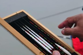 冬天铅钓鱼技巧（冬季铅钓鱼的秘诀和技巧）